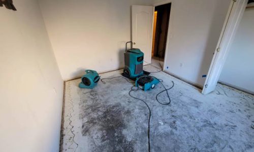 Restoration Mastery: Unlocking the Secrets of Water Damage Recovery