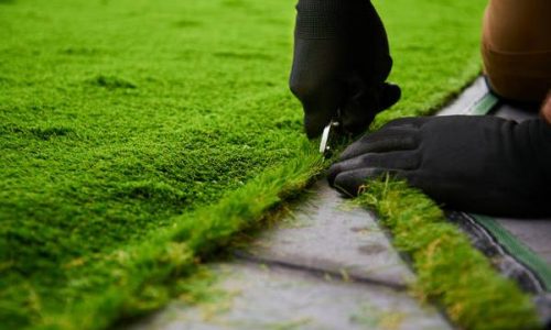 Design Ideas for Incorporating Artificial Grass into Your Landscape