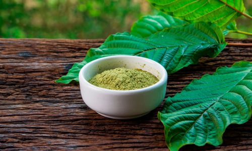 Leaf of Life The Transformative Power of Kratom