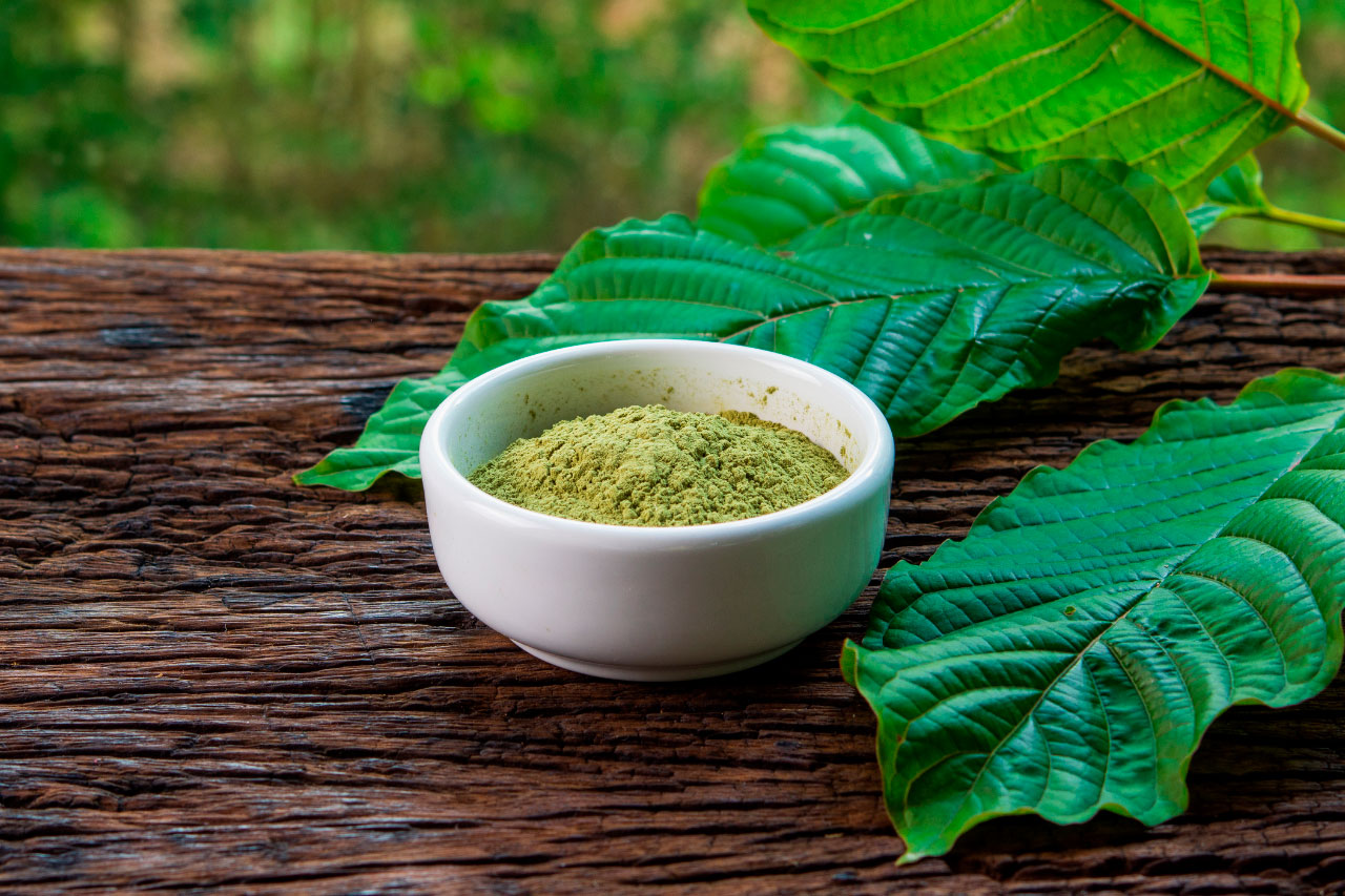 Leaf of Life The Transformative Power of Kratom