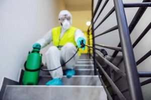 Asbestos and Real Estate: What Every Property Owner Should Know