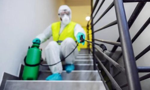 Asbestos and Real Estate: What Every Property Owner Should Know